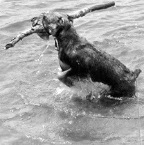 Stick-With-It.jpg